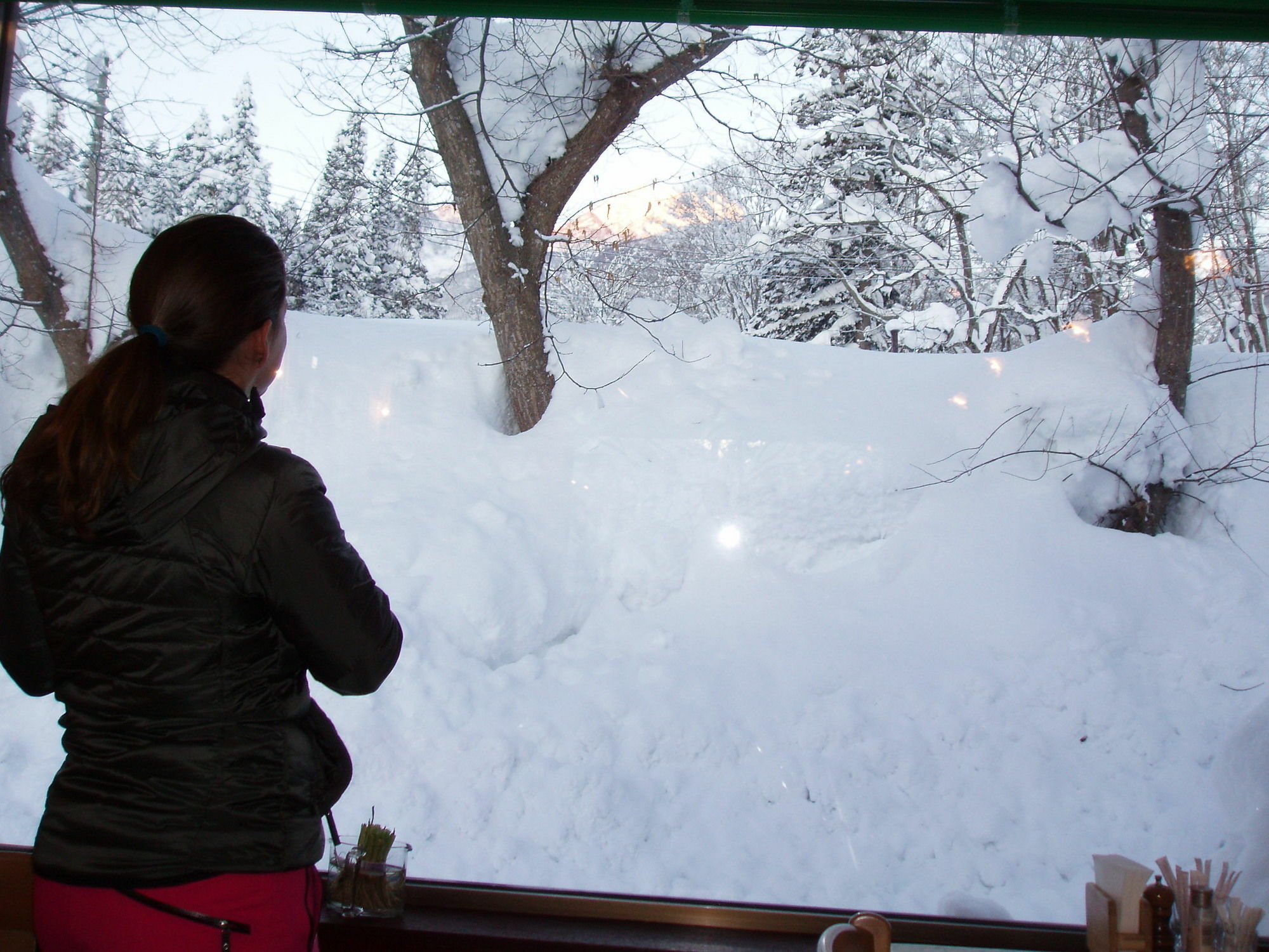 Country Inn Canadian House Myoko Eksteriør billede