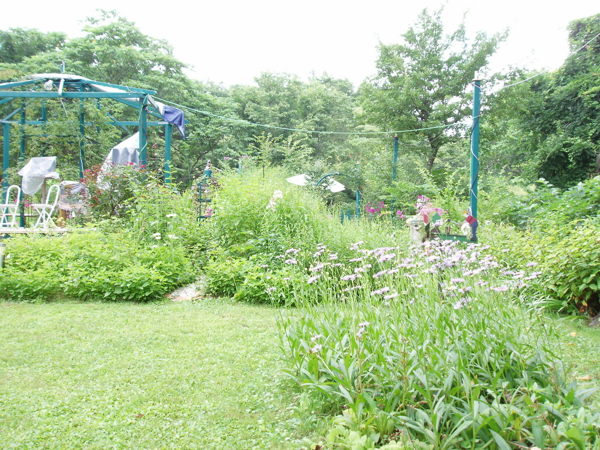 Country Inn Canadian House Myoko Eksteriør billede